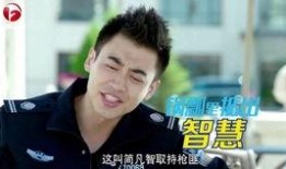 在线观看警察锅哥全集,正义与智慧的较量